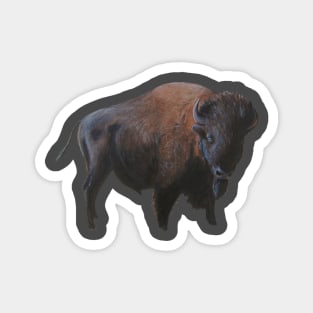 Buffalo Prairie King Magnet