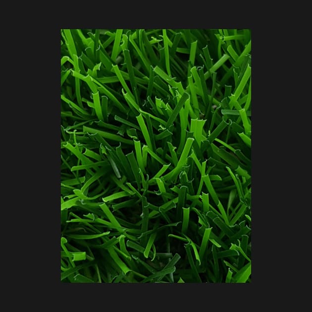 Fake Grass by Maul_Ftgr