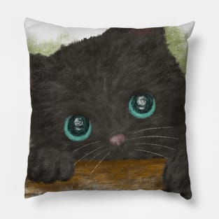 Black Cat with Blue Eyes Pillow