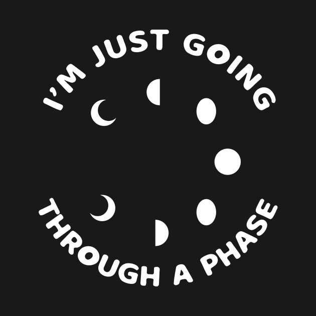 I'm Just Going Through A Phase by tshirtguild