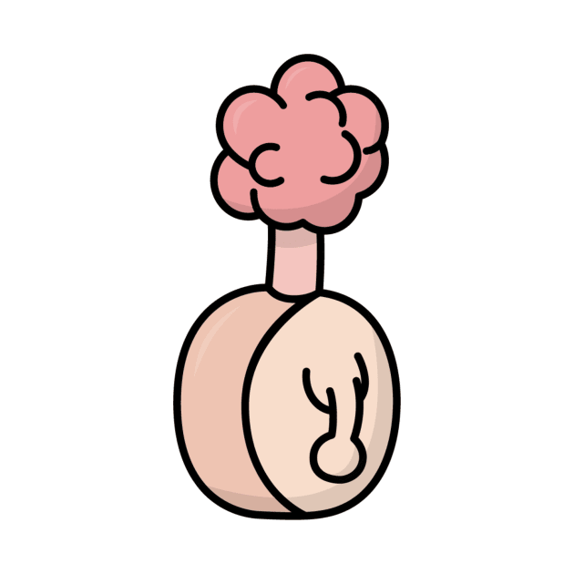 Plumbus by Radradrad