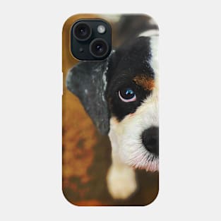 Cavalier King's Charles Spaniel Phone Case