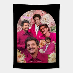 Pedro in Pink Tapestry