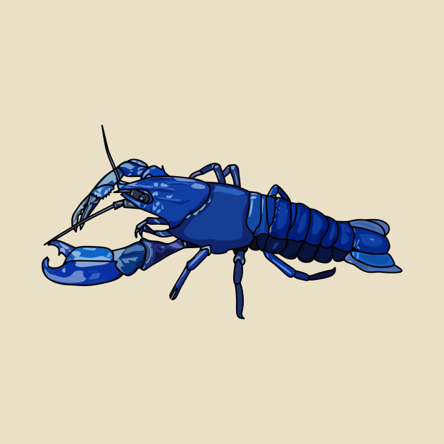 Blue marron crayfish cartoon illustration by Miss Cartoon