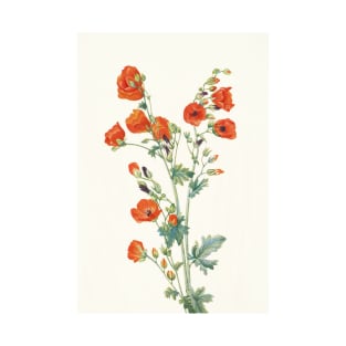 Scarlet globemallow - Botanical Illustration T-Shirt