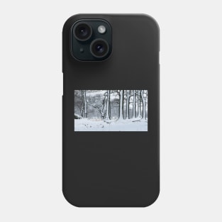 Snowy Side of Winter Phone Case