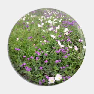 Texas Wildflowers - Prairie Verbena (purple) and Evening Primrose (pink) Pin