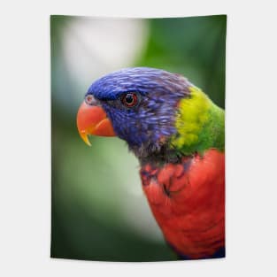 Parrot Tapestry