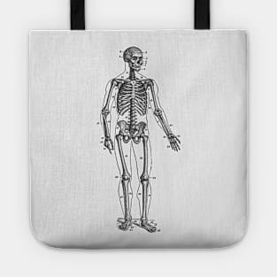 Forward Facing Skeletal Diagram - Vintage Anatomy Tote