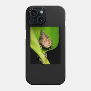 Unique and organic photo of a planthopper Phone Case