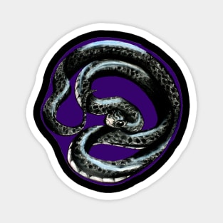 Black rat snake Magnet