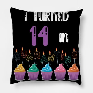 I Turned 14 In Quarantine funny idea birthday t-shirt Pillow