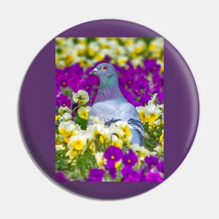 Pigeon and Pansies Pin