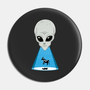 UFO Cow Abduction Pin