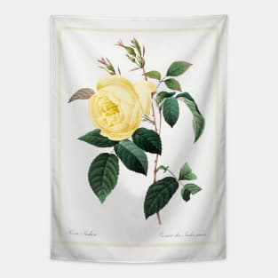 Yellow Rose Tapestry