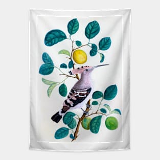 Hoopoe Bird On Lemon Tree 1800 India Tapestry