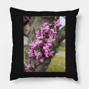 Redbuds Pillow