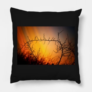 Wild dog rose in winter Pillow