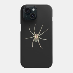 Spider Phone Case