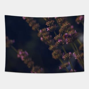 lavender flower field photography Tapestry