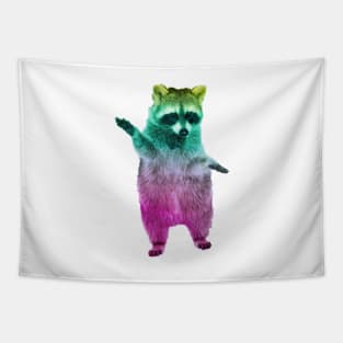 Rainbow Raccoon 3 Tapestry