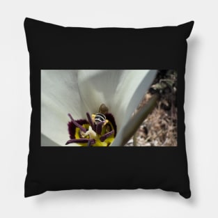 Wild Bee Butt Pillow