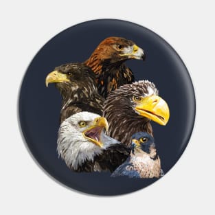 Birds of prey Pin