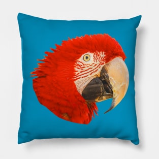 Macaw Pillow