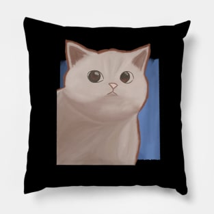 Moody Cat Pillow