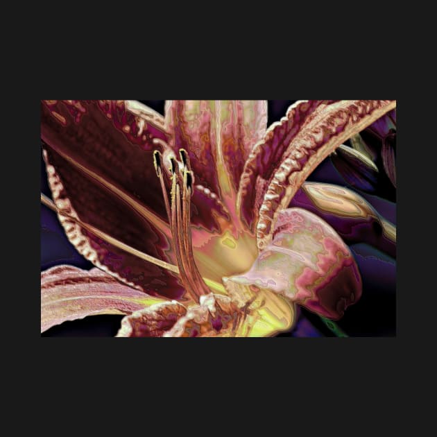 Abstract Daylily by photoclique