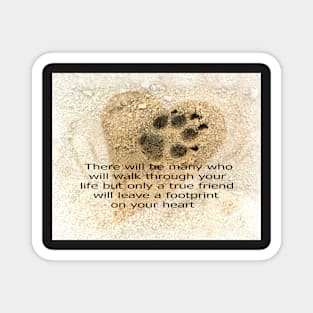 Dog Paw Print Magnet