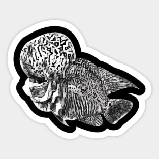 Flowerhorn Stickers for Sale