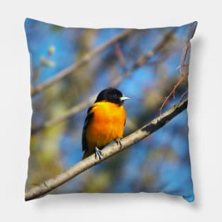 Baltimore Oriole Perched On A Tree Branch Pillow
