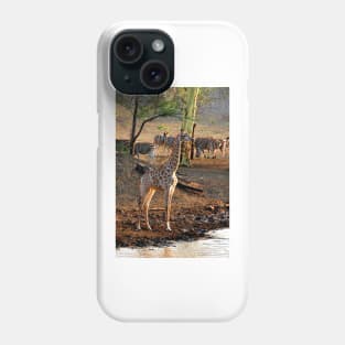 Giraffe Zulu Nyala Game Reserve South Africa Phone Case