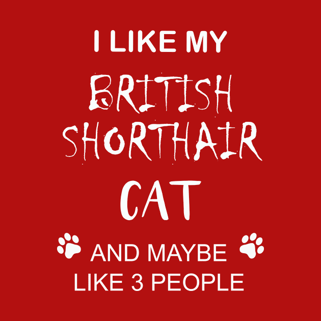 I like my british shorthair cat and maybe 3 people by ebiach