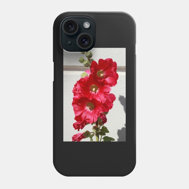 Hollyhock, hollyhock, hollyhock, flower, blossom, red Phone Case by Kruegerfoto