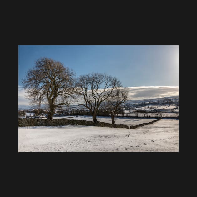 Snow Covered Yorkshire Dales by Reg-K-Atkinson