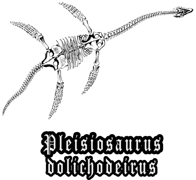 🦖 Fossil Skeleton of a Plesiosaurus dolichodeirus Dinosaur Kids T-Shirt by Pixoplanet