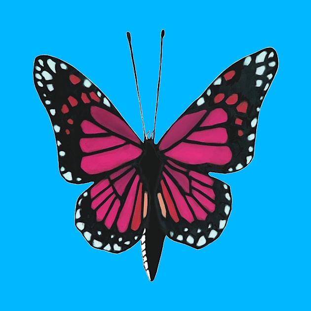 Butterfly 02h, transparent background by kensor