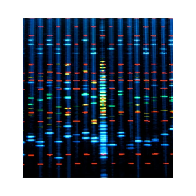 DNA sequence on a computer monitor screen (G210/0734) by SciencePhoto