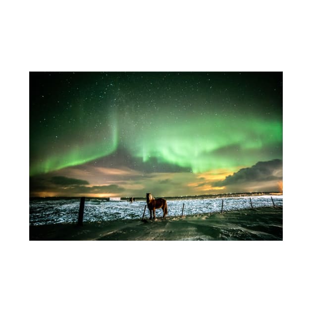 Icelandic horse under the northernlights. by RonniHauks