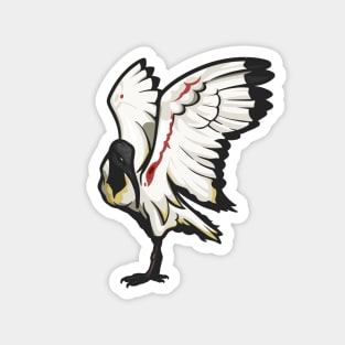 African Sacred Ibis Magnet