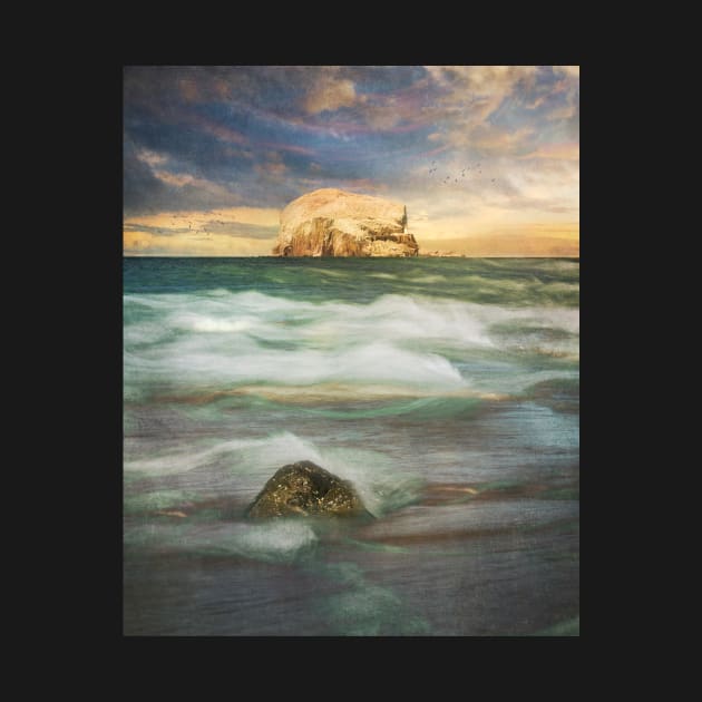 Bass Rock Fine Art Print by TMcG72