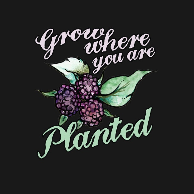 Black Raspberries Grow where you are planted by bubbsnugg