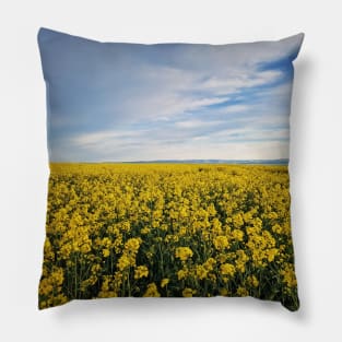 Rapeseed field Pillow