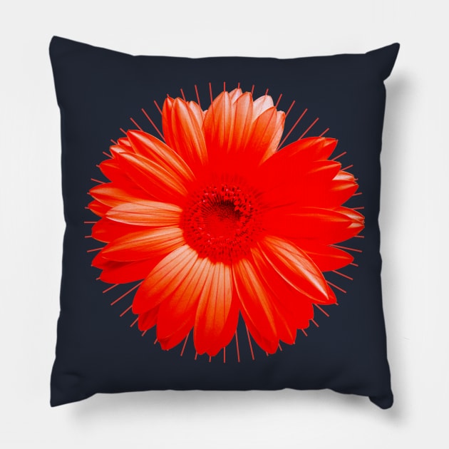 Flower Chakra Red Pillow by emma17