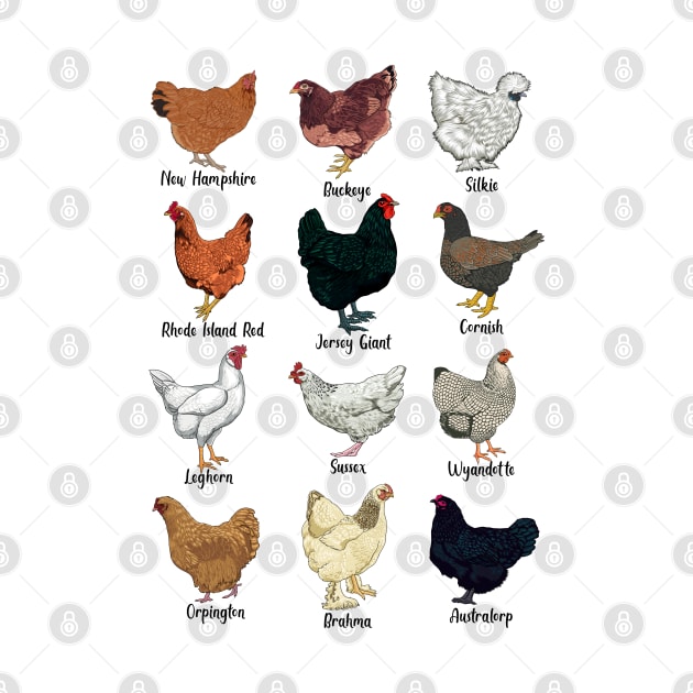 Different chickens - chicken breeds by Modern Medieval Design