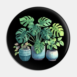 Indoor Plants Pin