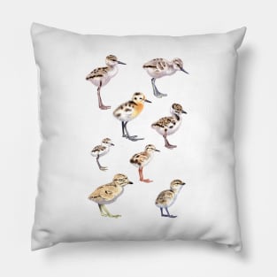 Shorebird chicks Pillow