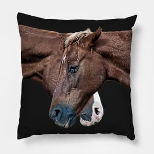 Horse Talk Pillow